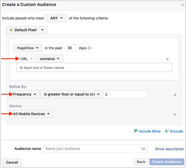 facebook-ads-manager-create-website-custom-audienc-2